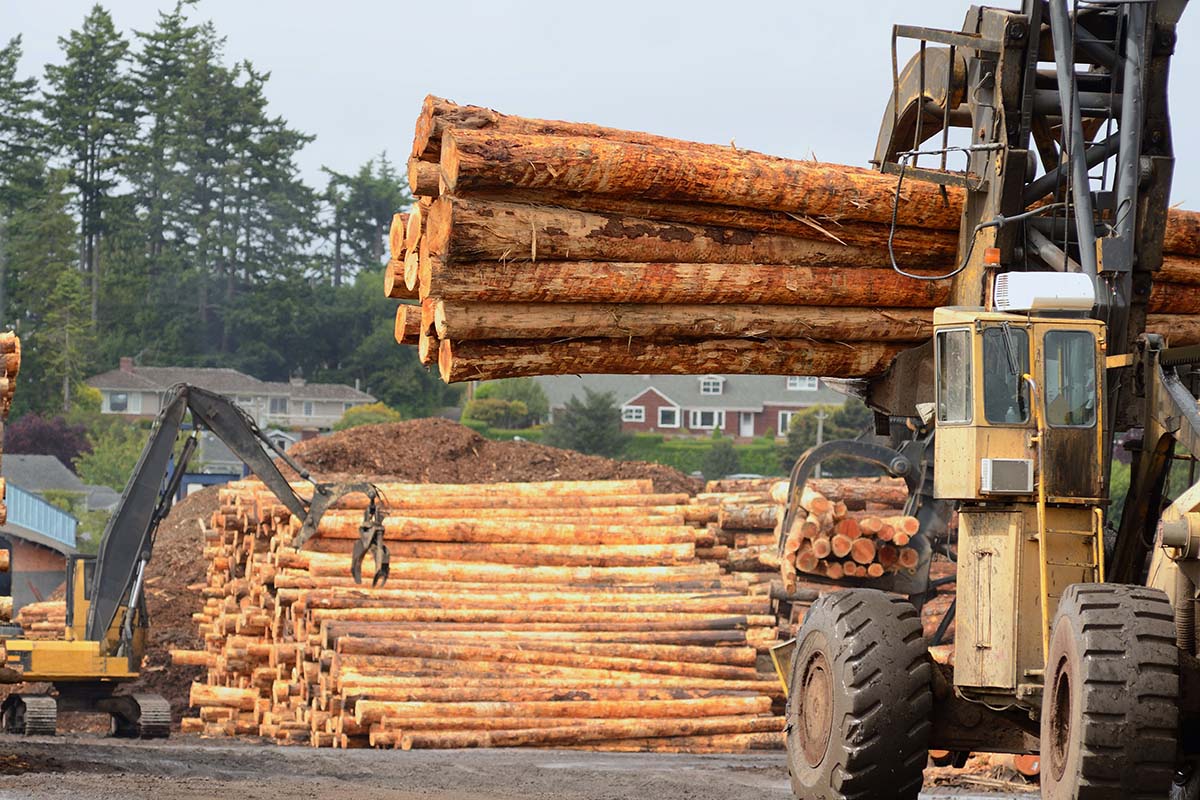 Правительство России планирует утвердить ограничивающий порядок применения лесоперерабатывающей техники